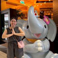 和古古一起轉🌍，更美也更Happy~