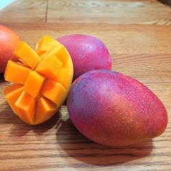 ◎果肉細緻，鮮甜多汁|◎果香濃郁，果粒飽滿，口感Q|◎品質嚴選，產地直送，預計5/20陸續出貨品牌:綠安生活類型:水果水果種類:梨子重量/件:8粒x2盒(400g±10％/粒)包裝:盒裝配送方式:常溫