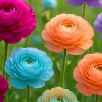 รูปสวยๆ..คำคมโดนใจ..เพลงเพราะน่าฟัง 20+30+40+50+