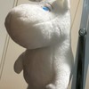 身体障害者【リハビリグッズ】を試そう会（入退自由）