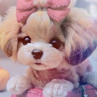 小型犬聯合國⭐️