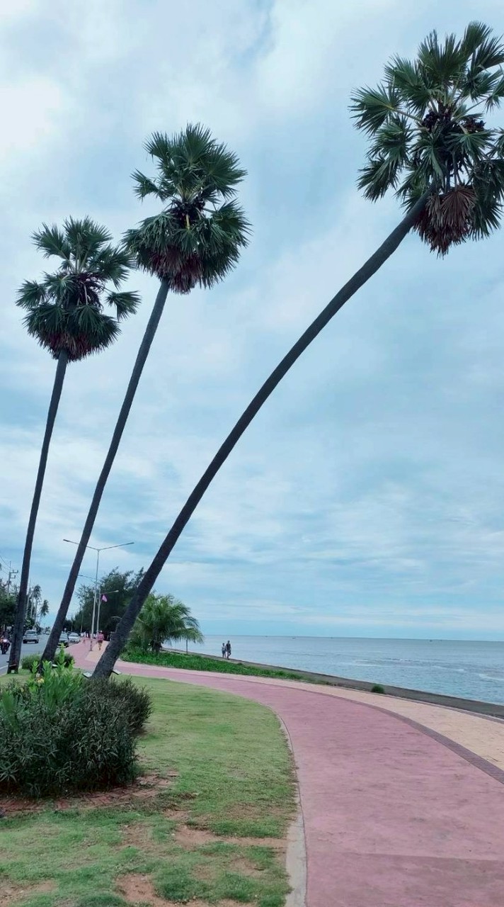 ส้ม สิริ สินค้าตามกระแส