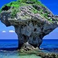 阿正叔的武功秘笈