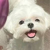 繪進步🎨
