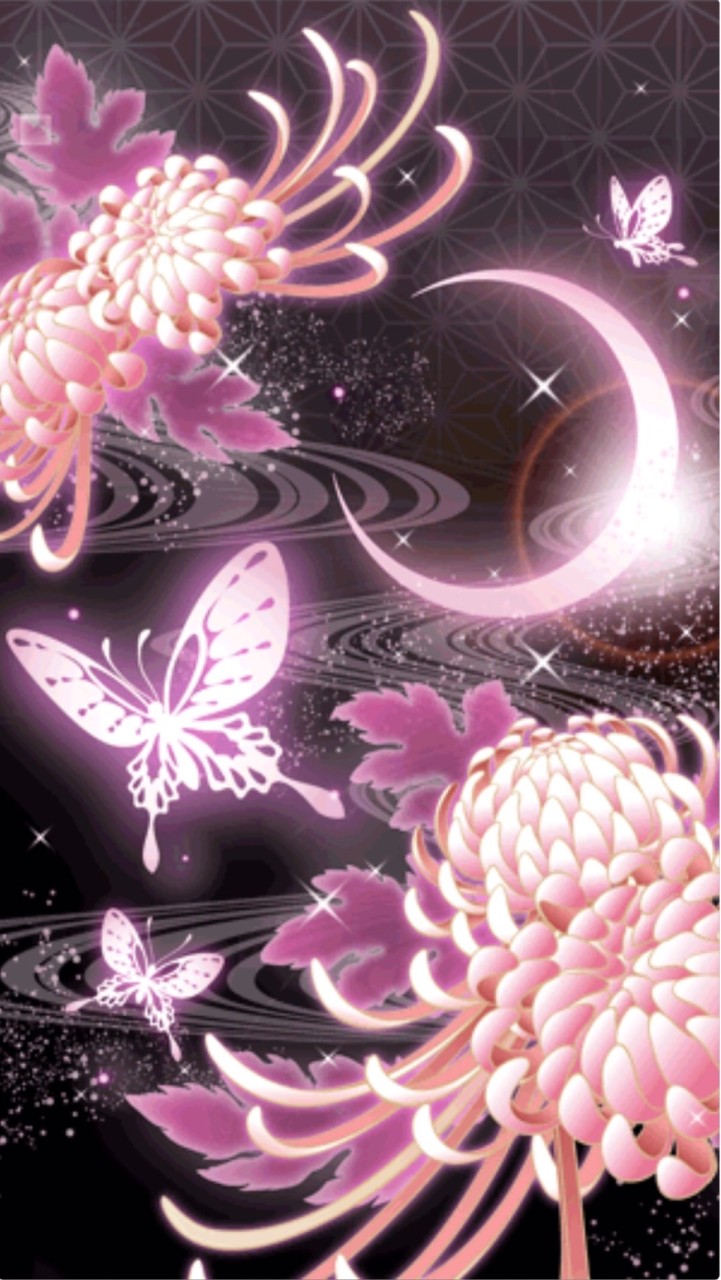 夢占い🔮