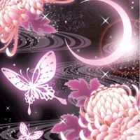 夢占い🔮