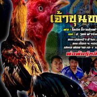 นคินทร์ฟาร์ม บ้านพัฒนาไก่พม่าแข้งคม
