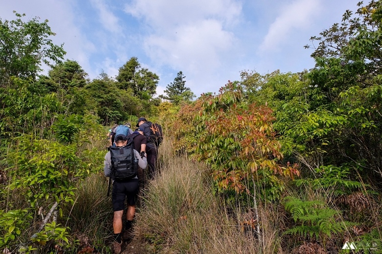 山女孩Melissa_羅馬縱走_羅葉尾山_馬武佐野郡山0732.JPG