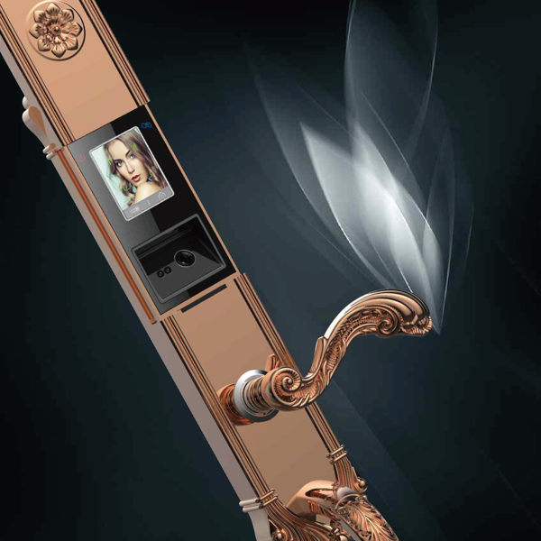 ELA茵朗 EF18 鎖中之王 豪華智慧門鎖(臉部辨識+指紋)