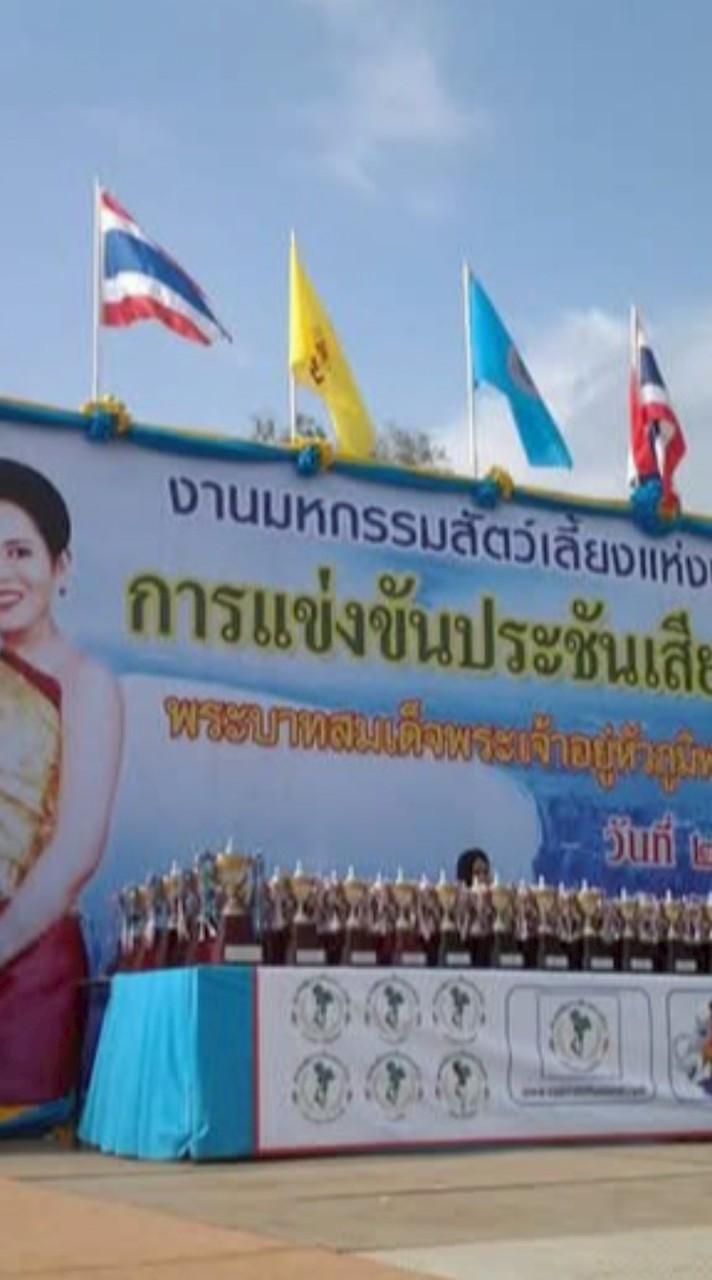 รายการแข่งขัน《นกกรงหัวจุกไทย》