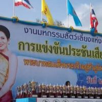รายการแข่งขัน《นกกรงหัวจุกไทย》