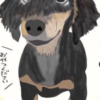 あるぴな