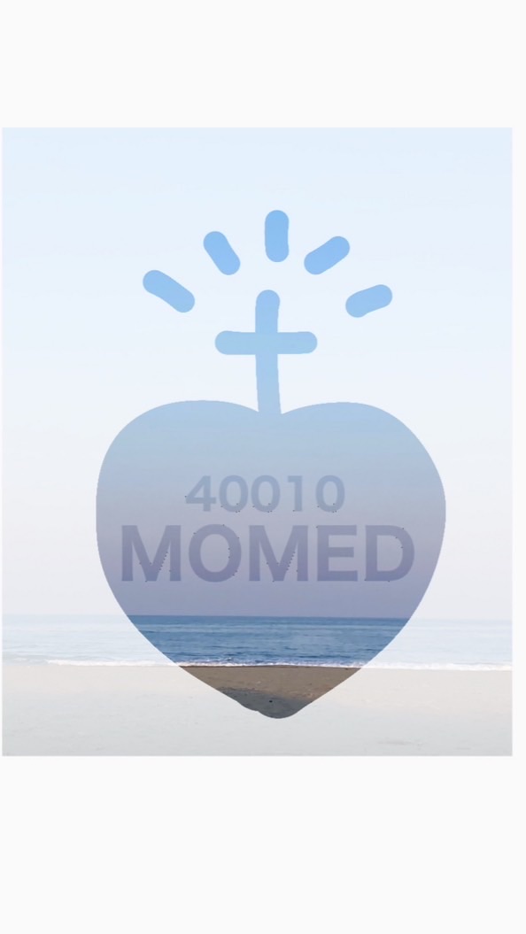 MOMEDshimanto／KOCHI