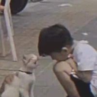 101167