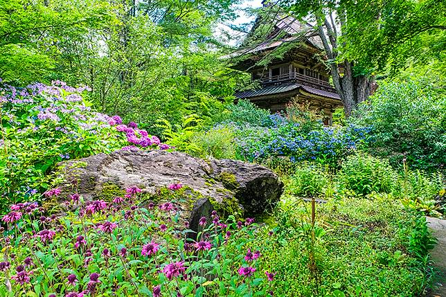 群馬大使 Lovelive 南小鳥聲優內田彩聲音導航導賞花寺吉祥寺 Japan Walker Hk Line Today