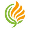 大楓樹創業交流社群