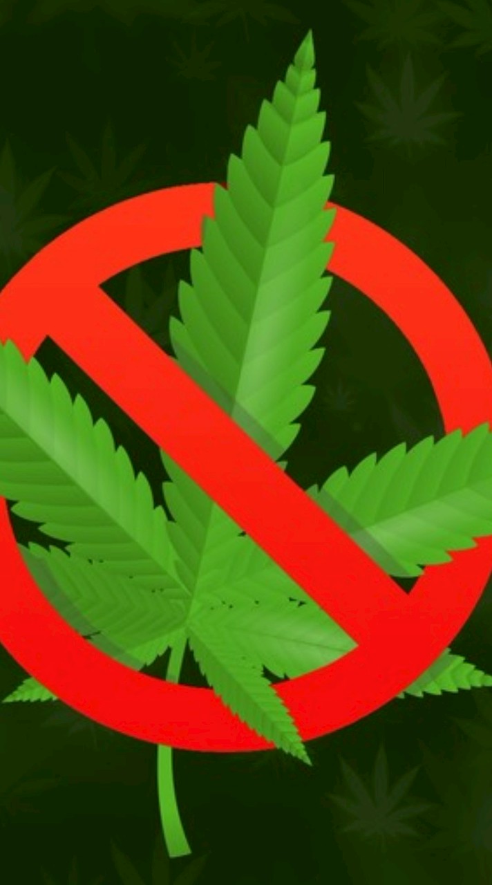 เลิกกัญเถอะ by Big-G