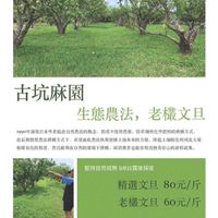 惠德自然生態農場🍐🥑🍍🍎🍑