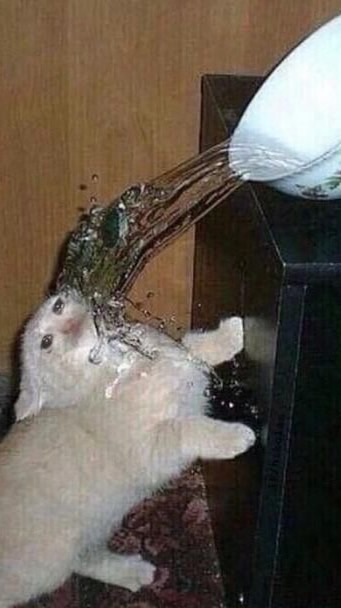 緬北不妙瓦底園區