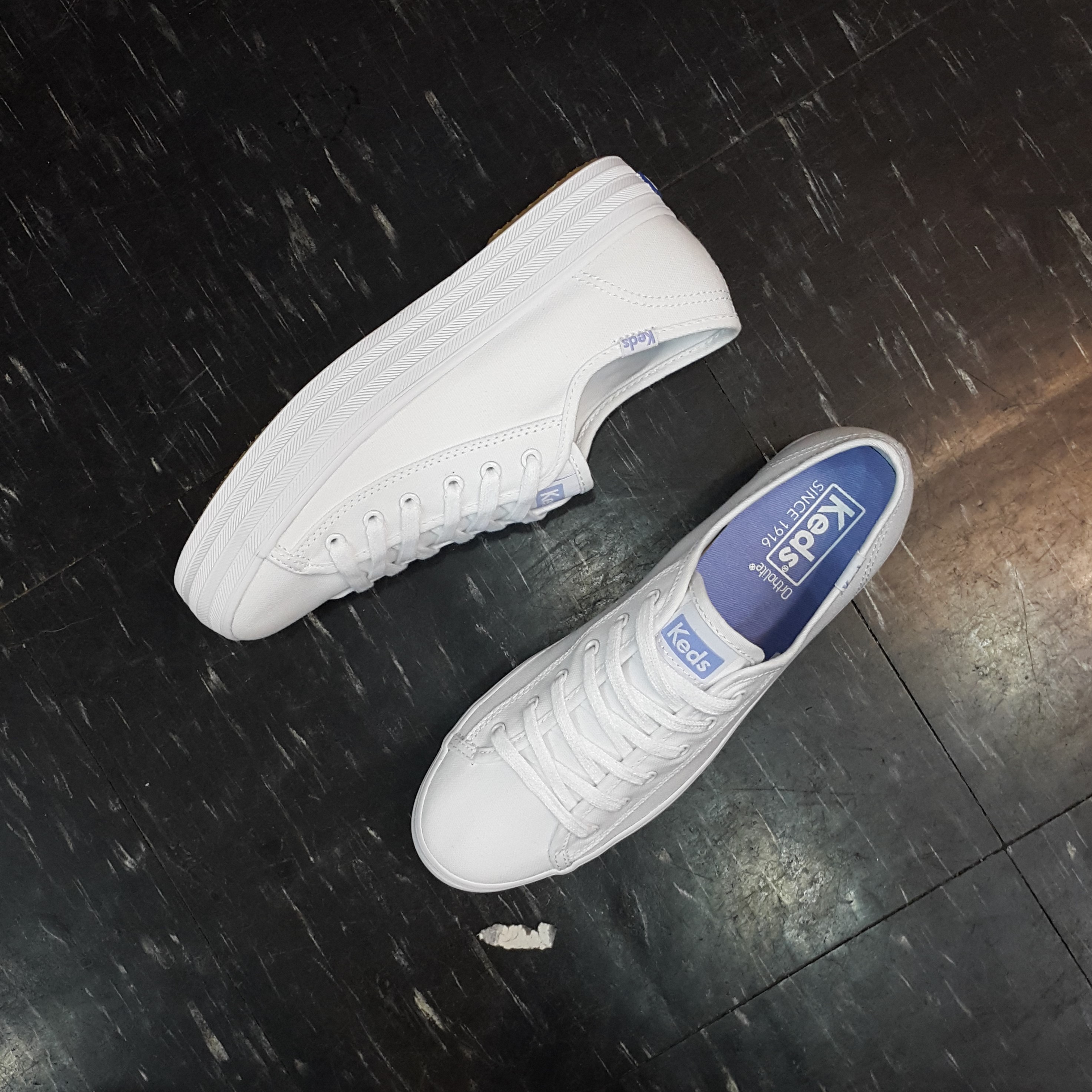 Keds 厚底 小白鞋 白色 帆布 薰衣草紫 全白 帆布鞋 經典款 基本款 WF59091