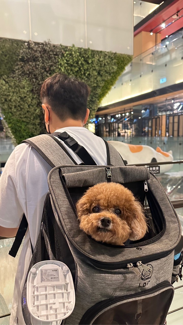 台中租屋找小恬