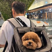 台中租屋找小恬