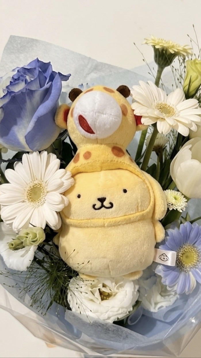 小布丁三麗鷗湊湊團🍮( ¯꒳​¯ )ᐝ.ᐟ .ᐟ