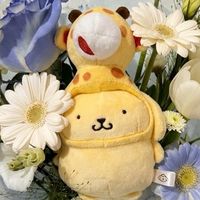 小布丁三麗鷗湊湊團🍮( ¯꒳​¯ )ᐝ.ᐟ .ᐟ