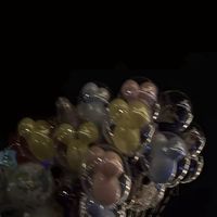 比翼連理