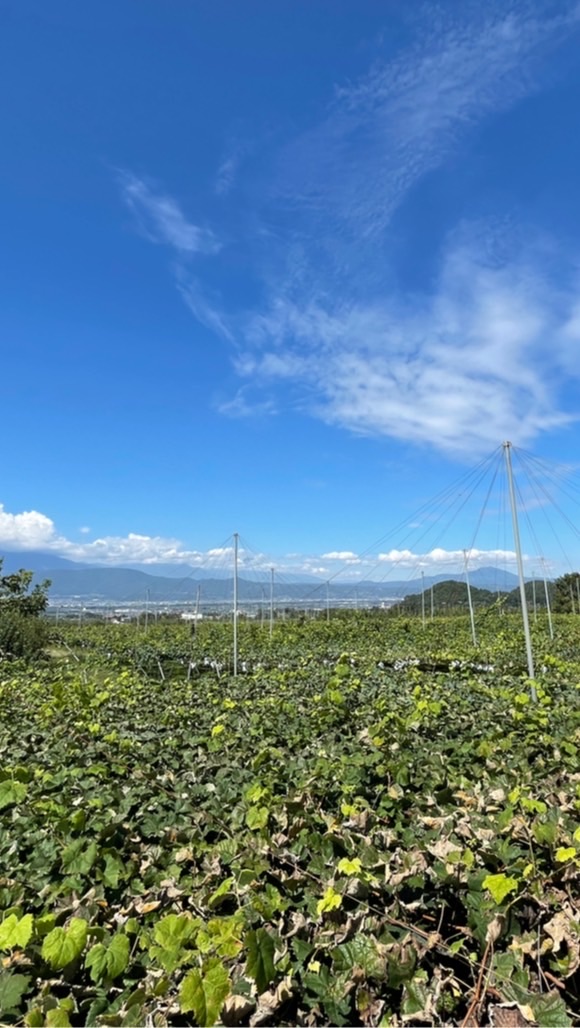OpenChat 長野県須坂市オプチャ