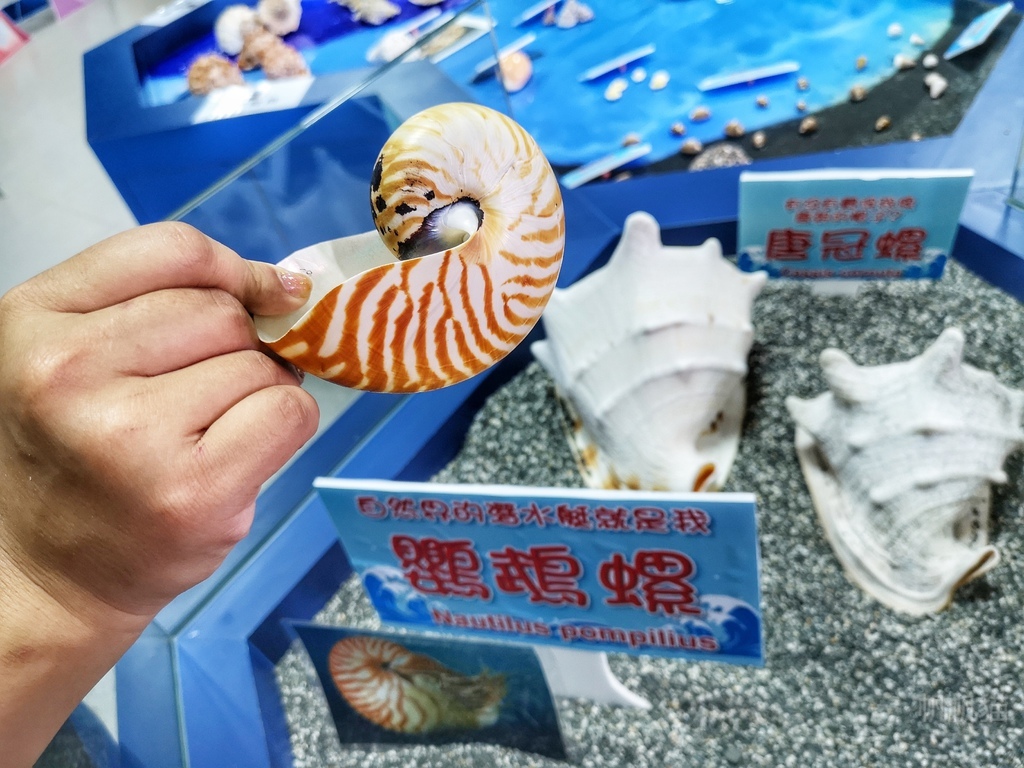 IMG_20190925_132706-01