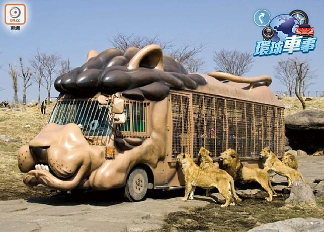 環球車事 坐動物車餵獅子 On Cc 東網 Line Today
