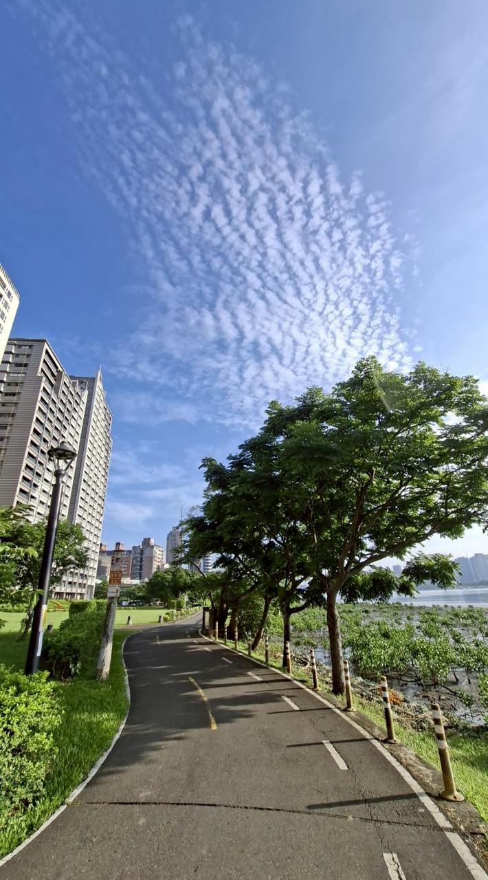 正念百日練習接力群