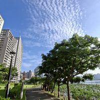 正念百日練習接力群