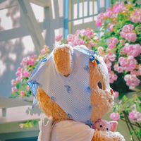 น้องพยาบาลคนสวย