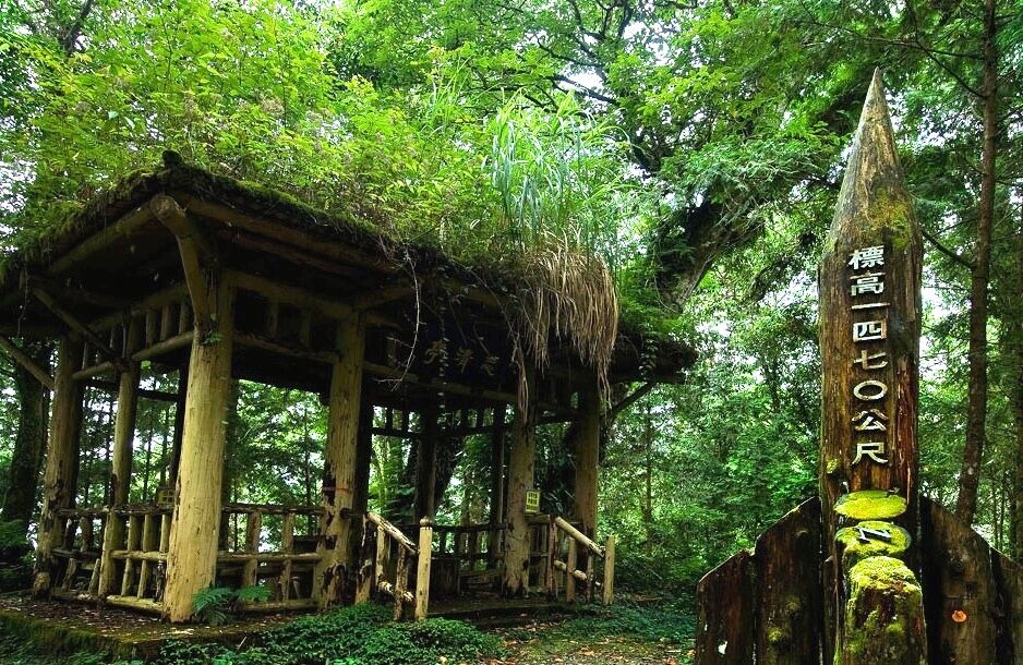 ９條宜蘭森林步道防疫秘境｜宜蘭森呼吸走步道防疫