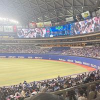 プロ野球研究会　新歓オープンチャット