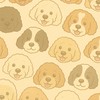 可卡布 x cockapoo