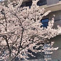 ケーアイ　3F