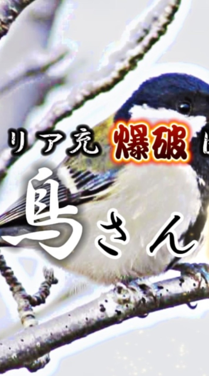リア充爆破団体 鳥さん隊