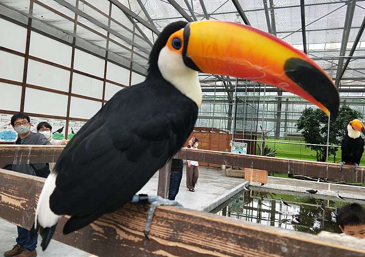 口コミの詳細 掛川花鳥園 南西郷 動物園 By Line Place