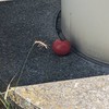 全也って激緩なんだよね
