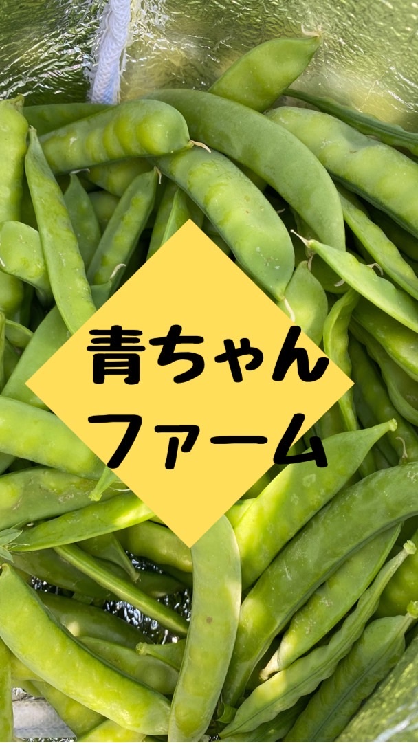 野菜も、ネット販売始めましょ☆* OpenChat