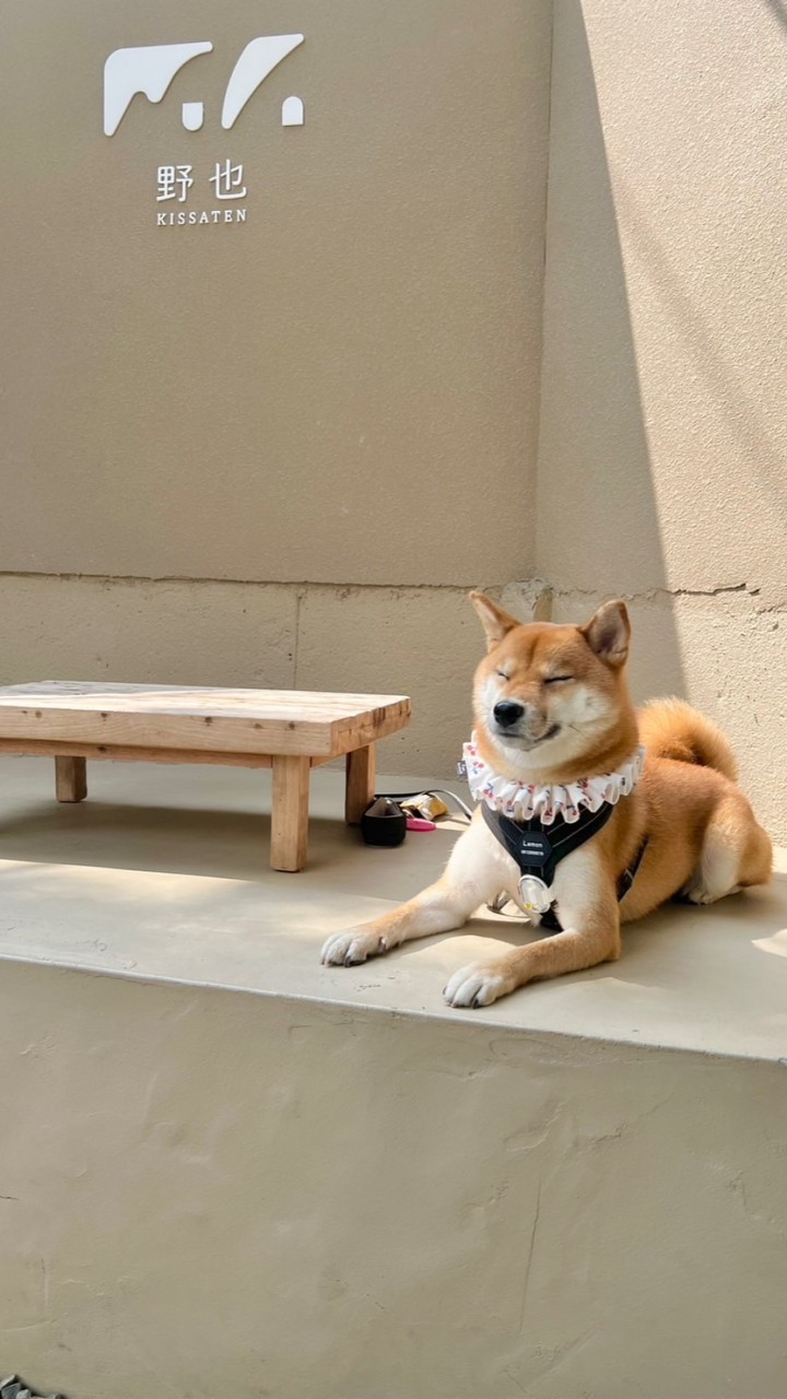 矇圈