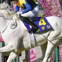 じぃもんの中央競馬予想📝