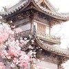 🌸 ❂【中華民國民主制度】正統堅決反共🌸 崇尚公平 維護正義 🌸