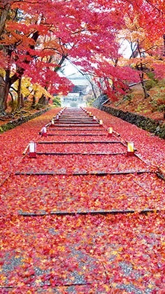 茨城の御朱印なかま集まれ😆⛩のオープンチャット