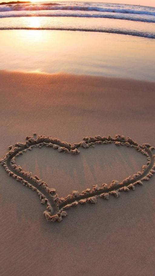 發現愛💞Find True Love💑