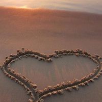 發現愛💞Find True Love💑