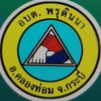 กองคลัง​ องค์การบริหารส่วนตำบลพรุดินนา
